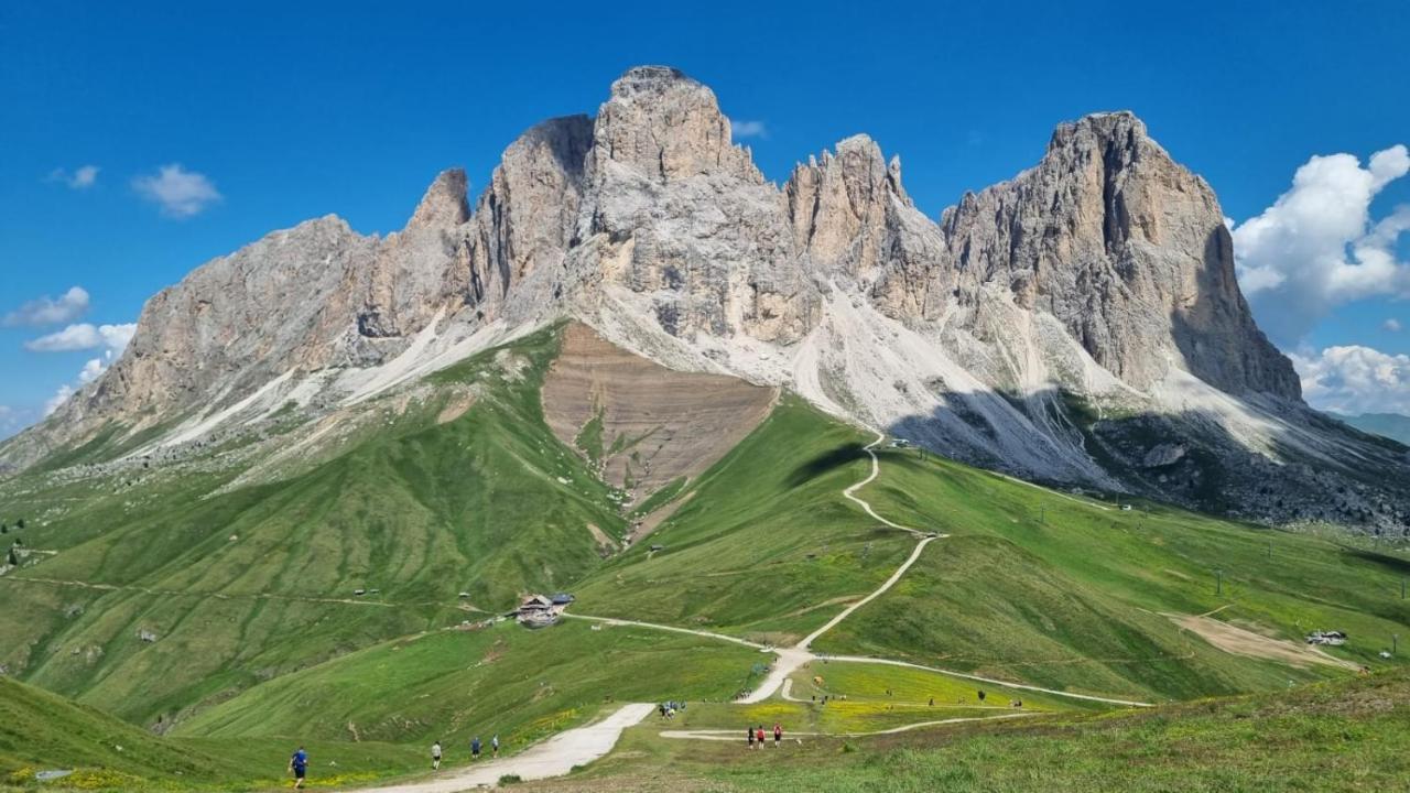 Апартаменти Cesa Pier Sellaronda Dolomiti Кампітелло-ді-Фасса Екстер'єр фото