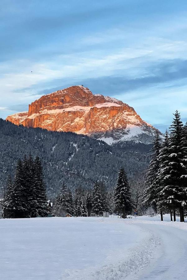 Апартаменти Cesa Pier Sellaronda Dolomiti Кампітелло-ді-Фасса Екстер'єр фото
