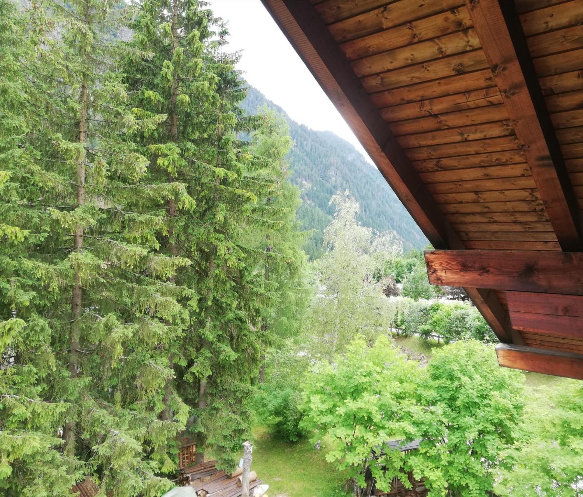 Апартаменти Cesa Pier Sellaronda Dolomiti Кампітелло-ді-Фасса Екстер'єр фото